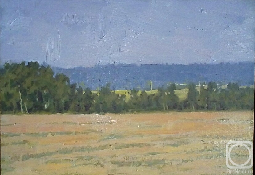Toporkov Anatoliy. Field in summer