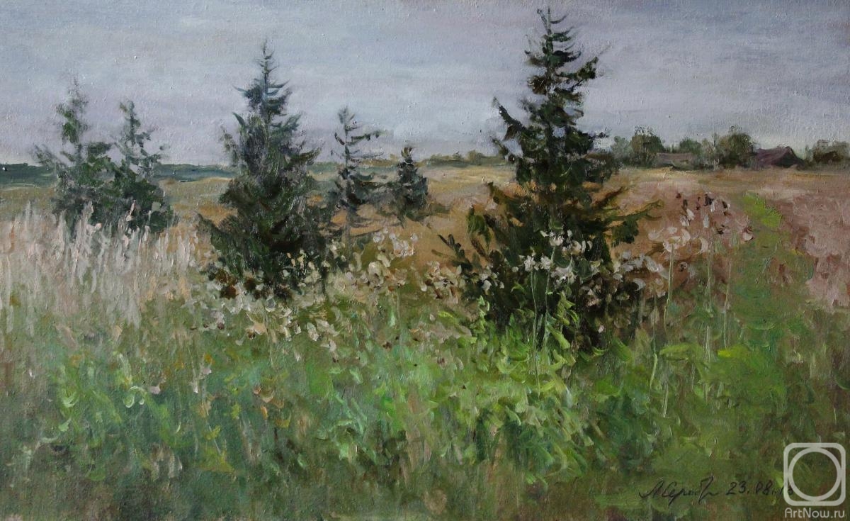 Serebrennikova Larisa. The field is overgrown. September