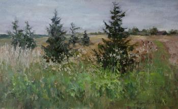 The field is overgrown. September. Serebrennikova Larisa
