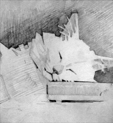 ������� ������� ��� ������