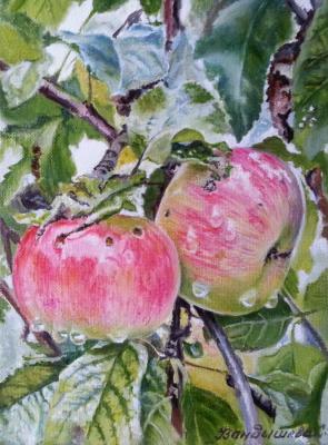 ������� ��������