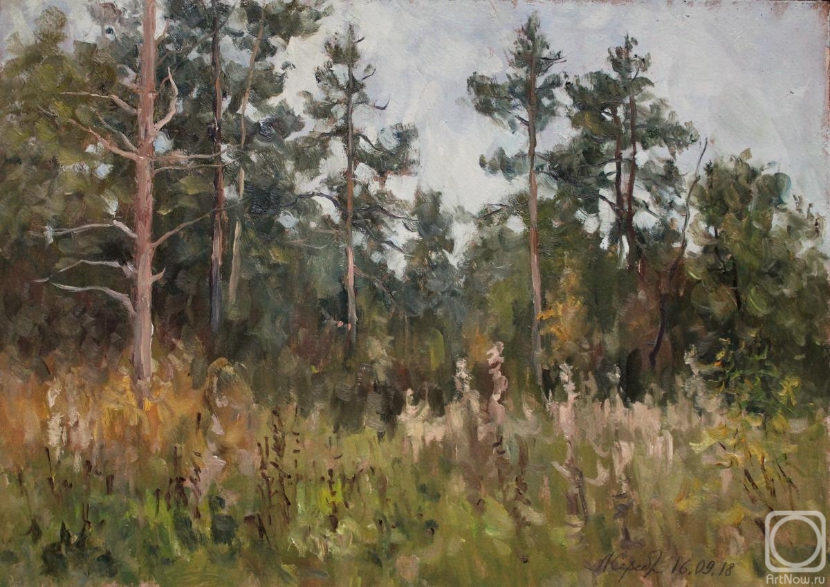 Serebrennikova Larisa. September. The edge of the forest