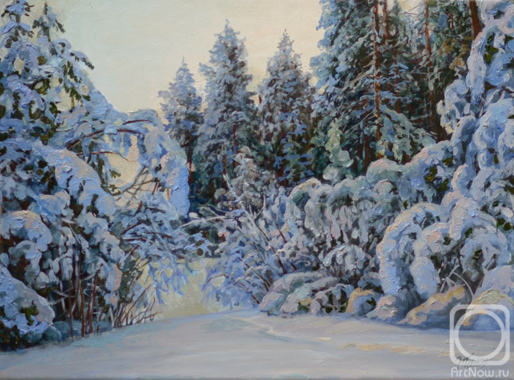 Panov Eduard. Snow clearing