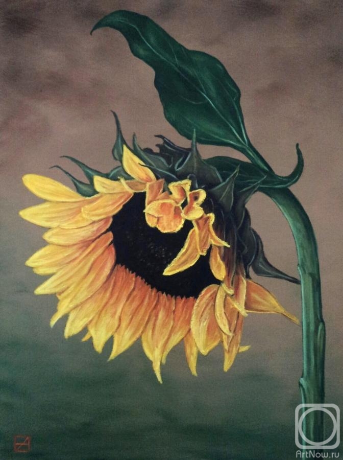 ������� ������ �� ������. ���������� ������. ���������