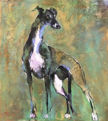 ���������. ���������� �����