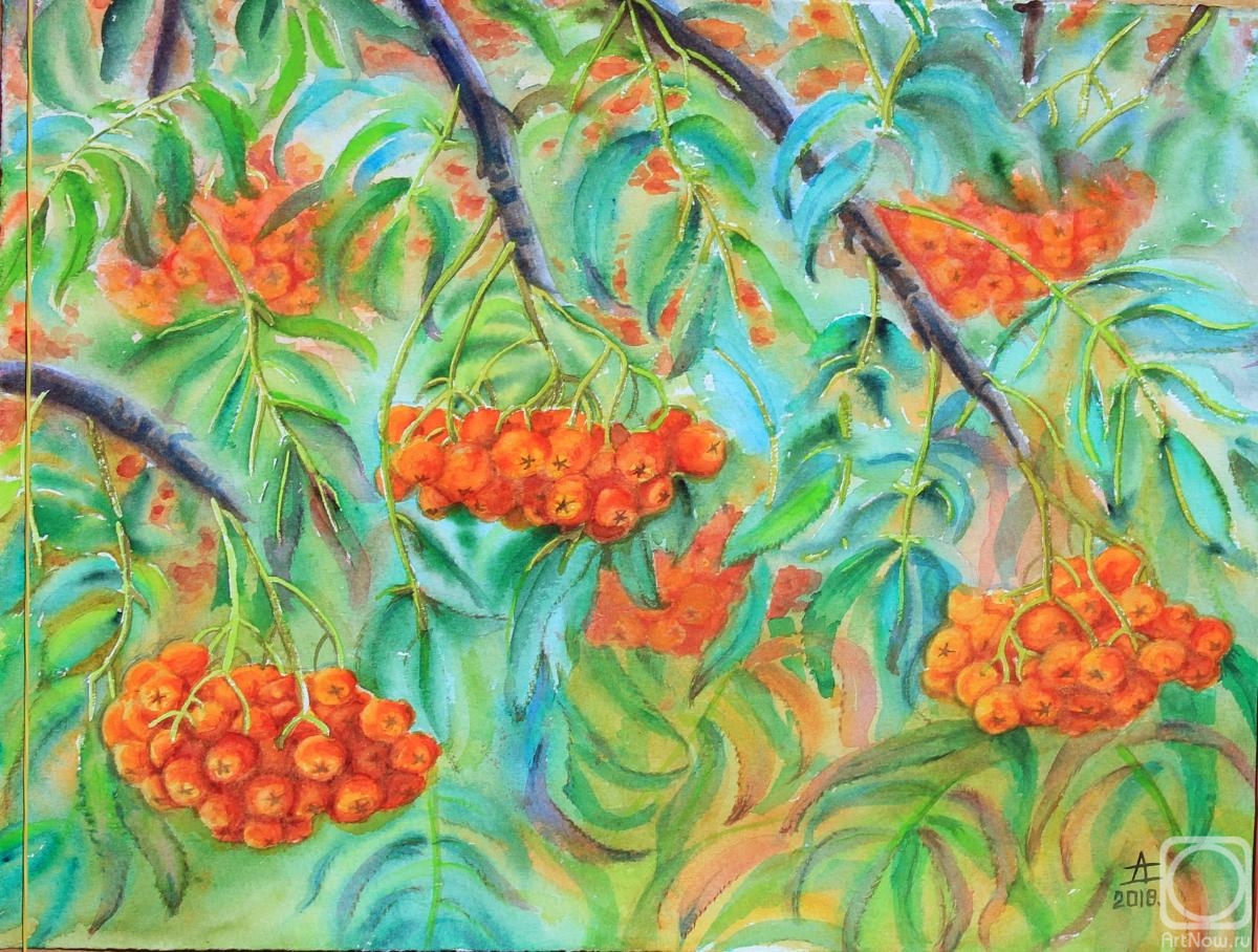 �������. �������� �����. ������