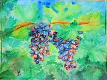Bunches of grapes. Dyachenko Alyena
