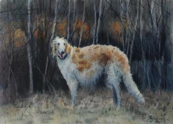 No title (A Russian Greyhound). Shundeeva Tatiana