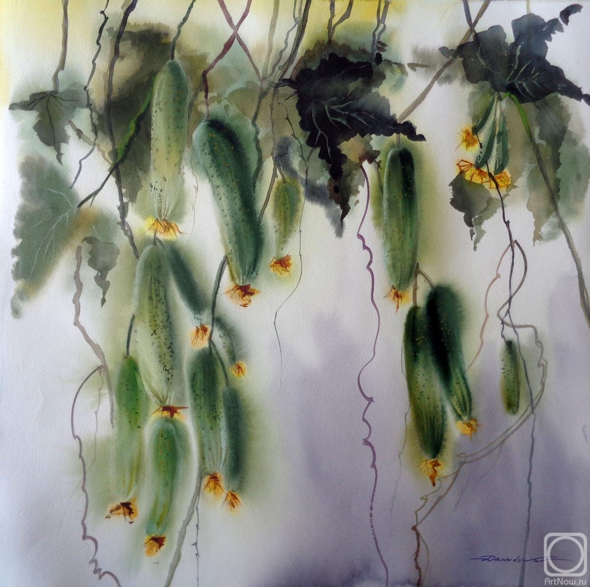 �������. �������� ������. ����� �������� "�������"