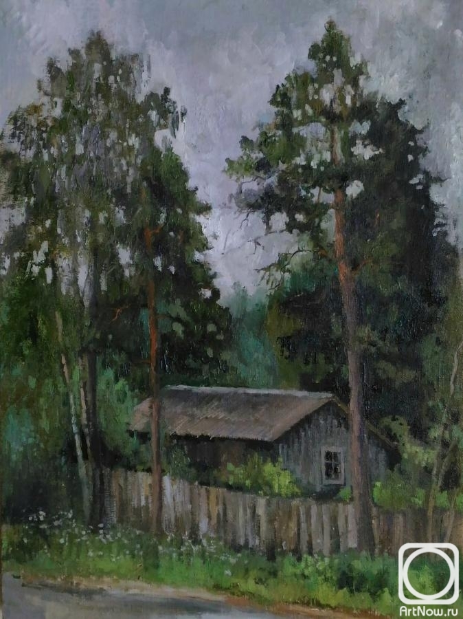 Goryunova Olga. Overcast in the Glades