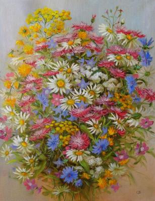 With chicory and daisies (Tansy Chicory). Razumova Svetlana