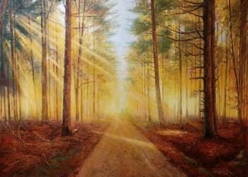 The rays of the autumn sun in the forest. Kamskij Savelij