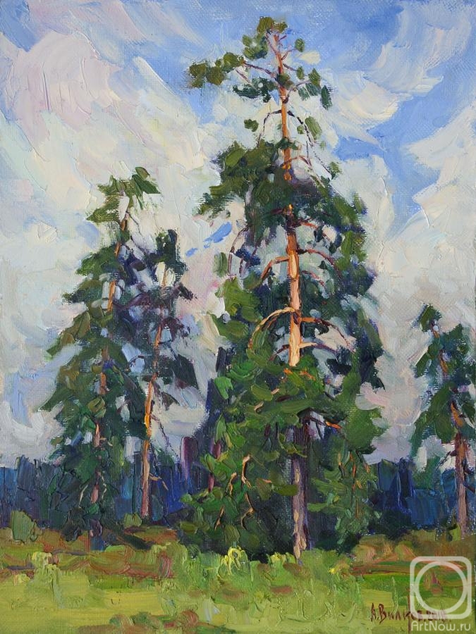 Vikov Andrej. The mighty pine