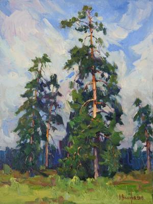 The mighty pine. Vikov Andrej