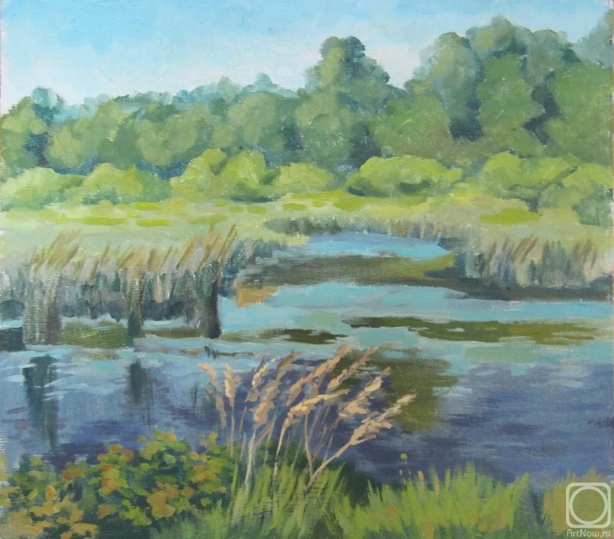 Kovylskikh Natalya. In the afternoon