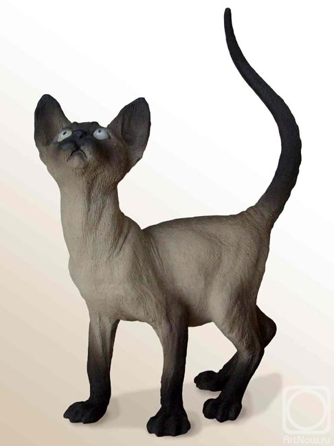 ������� �����. ���