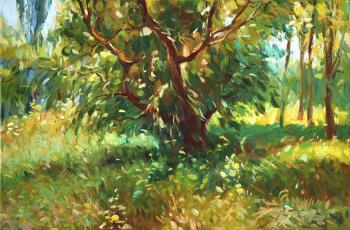 ������� ������� ���