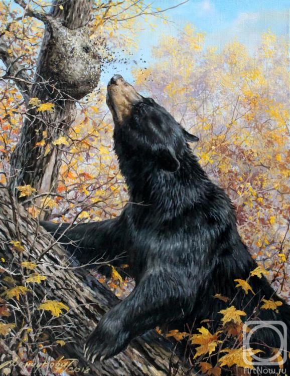 Danchurova Tatyana. Baribal (Canadian bear)