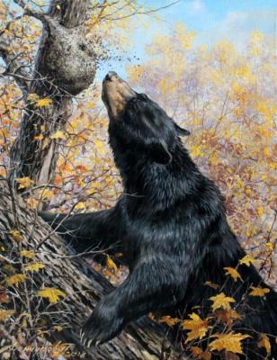 Baribal (Canadian bear). Danchurova Tatyana