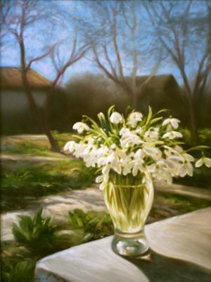 ������� ������������