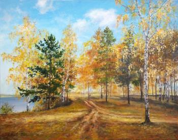 Road of autumn. Puchezh