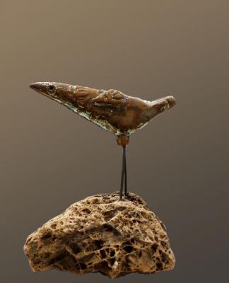 Bird on the stone