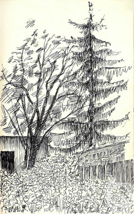 �������. ������� ���������. �� ����