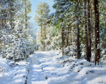 Sun in winter forest. Dorofeev Sergey