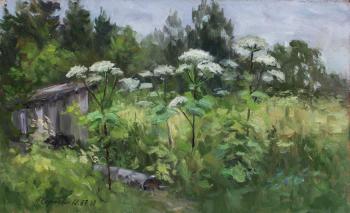 ������� ������������ �������