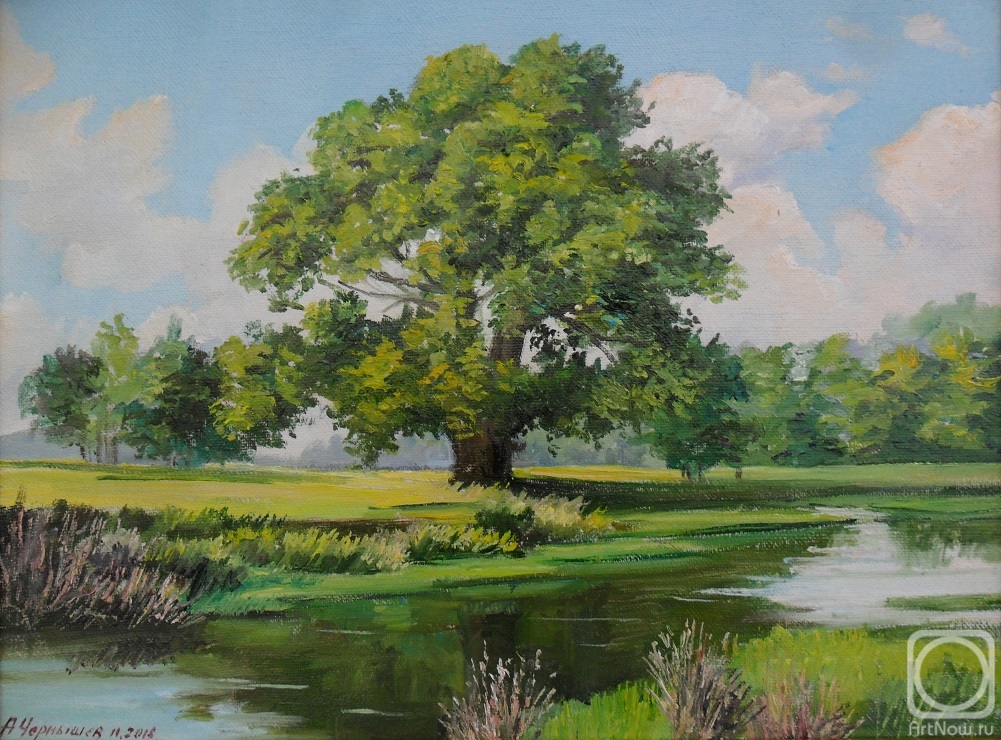 Chernyshev Andrei. Oak grove