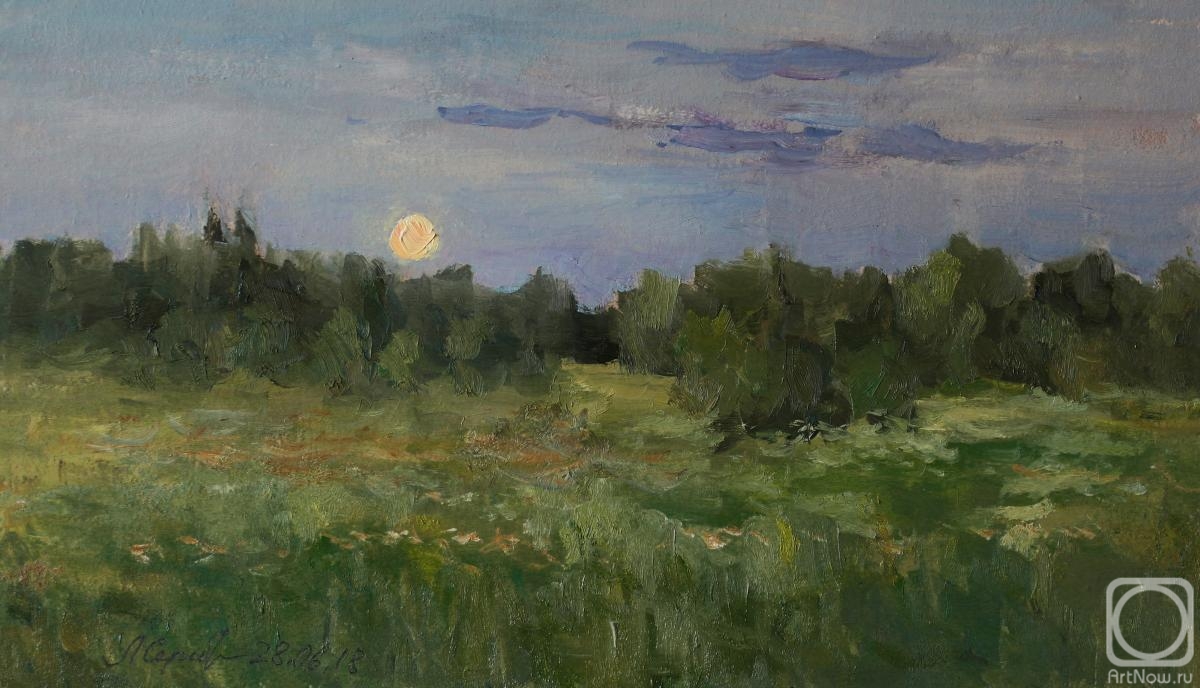 Serebrennikova Larisa. The moon rose