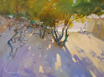 ������� ���������� ����