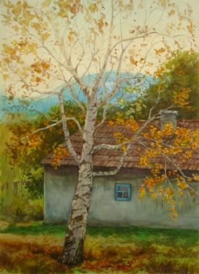 House with birch