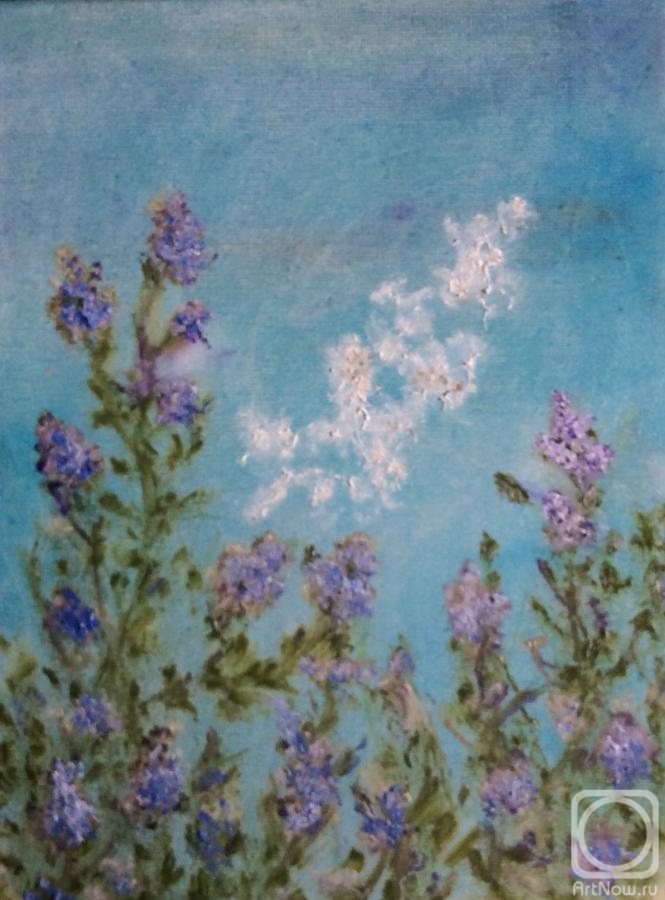 ������� ������ �� ������. ������ ����. �������� � ������ ������