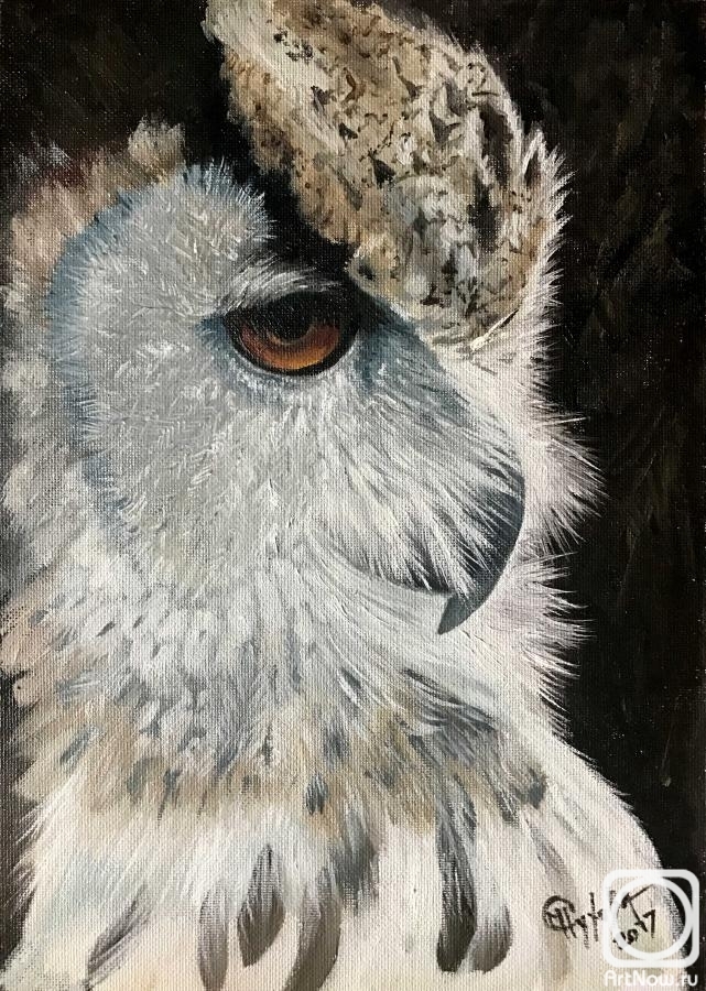 ������� ������ �� ������. ������ �������. �����