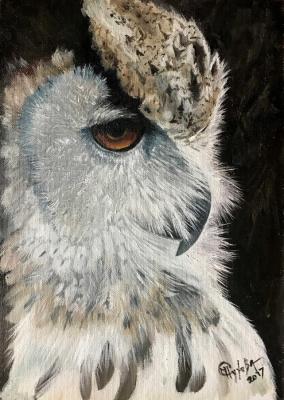 ������� �������