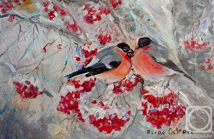 Ostraya Elena. Bullfinches on mountain ash
