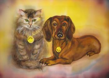 ��������