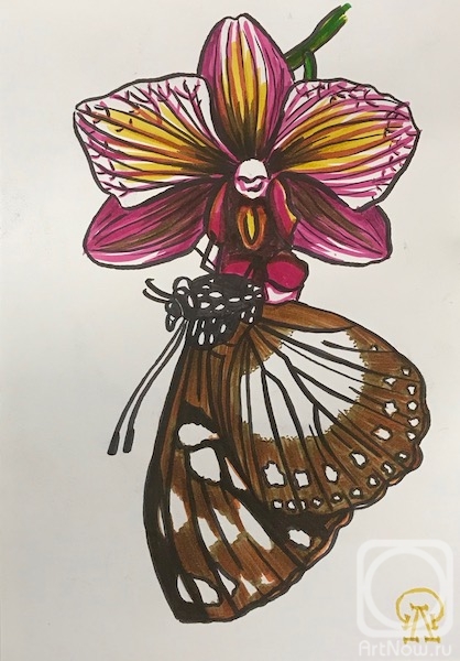 Lukaneva Larissa. Orchid and butterfly (sketch)
