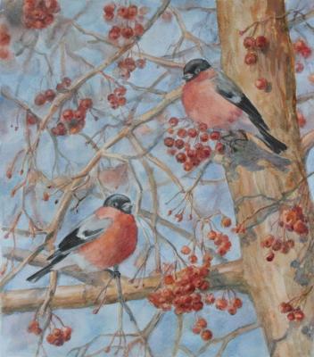 Bullfinches and Apples