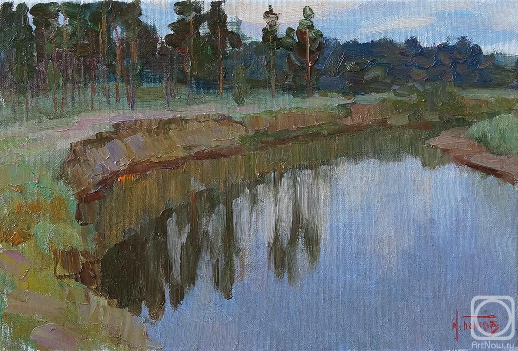 Panov Igor. Early twilight of the Buzuluksky pine forest