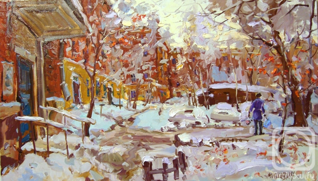 Mishagin Andrey. The snow in the yard