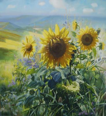 Sunflowers. Summer. Glazkov Vitaliy