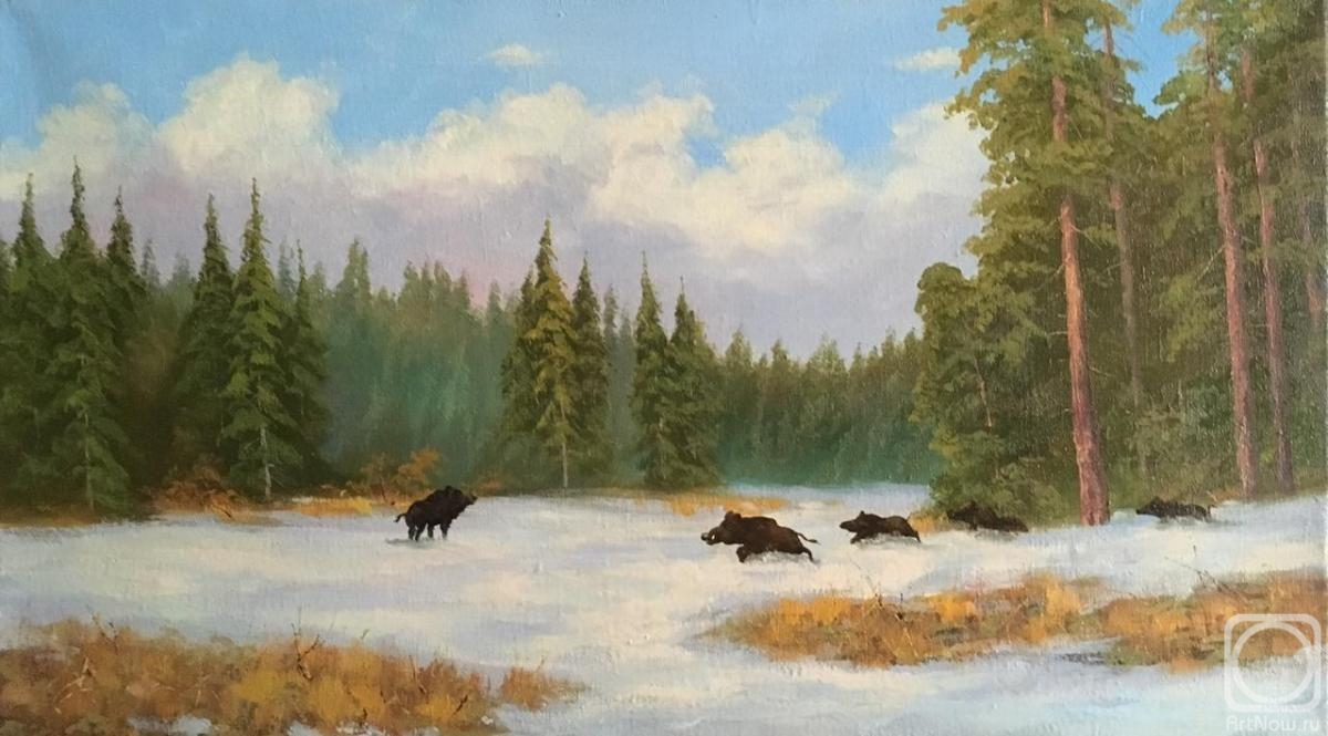 Lyamin Nikolay. Boars