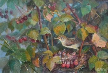 ���������. ���������� ����