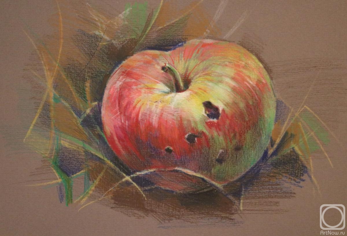 Яблоко в листве» картина Помазковой Виктории (бумага, карандаш) — купить на  ArtNow.ru