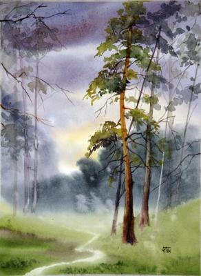 Forest. Tarasova Irena