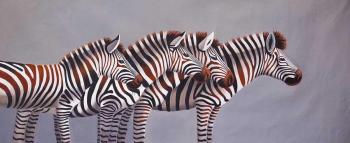 Zebras. N2 Monochrome. Vevers Christina