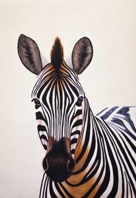 Zebras. Original color N6. Vevers Christina
