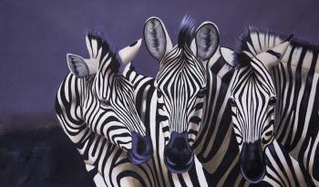 Zebras. N4 Monochrome. Vevers Christina